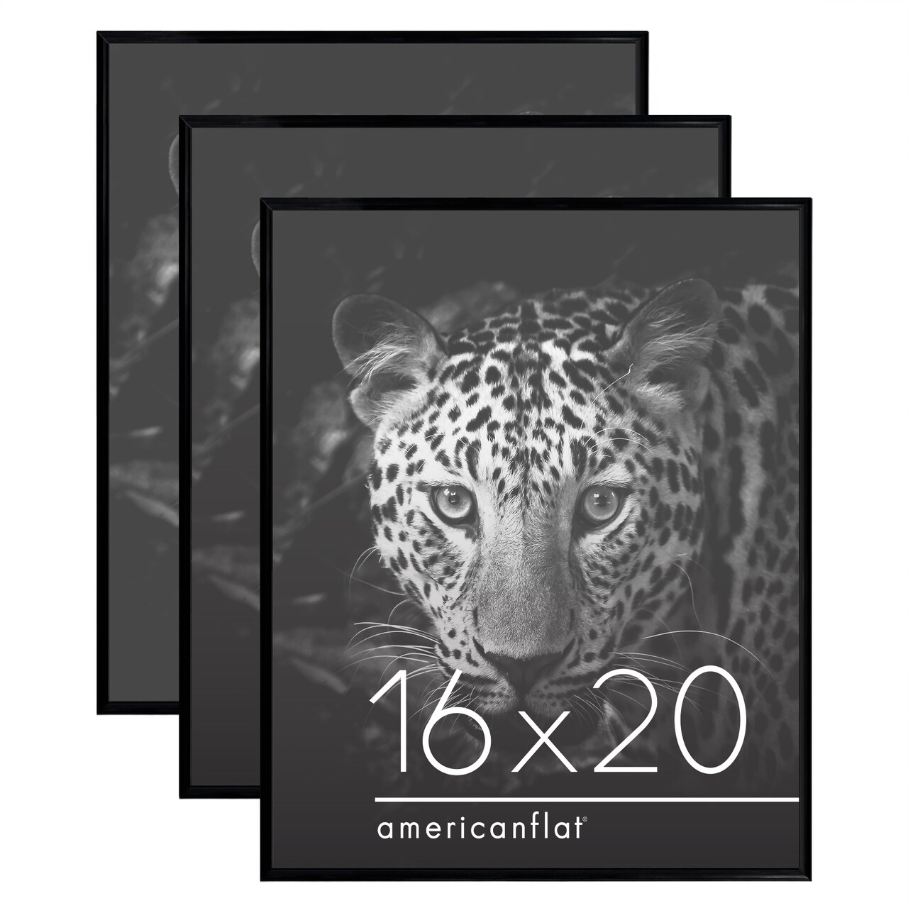 Americanflat Snap-In Picture Frame in Black - Set of 3 - Poster Frame with Slimline Molding, Plexiglass Cover, and Hanging Hardware - Black